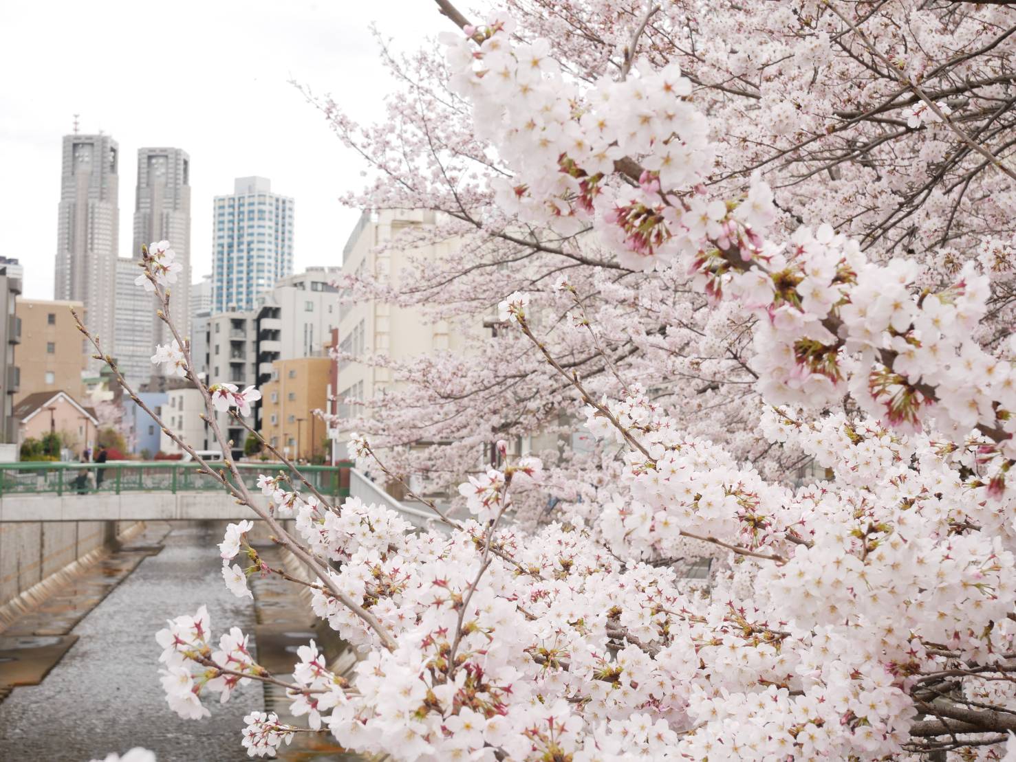 Tokyo